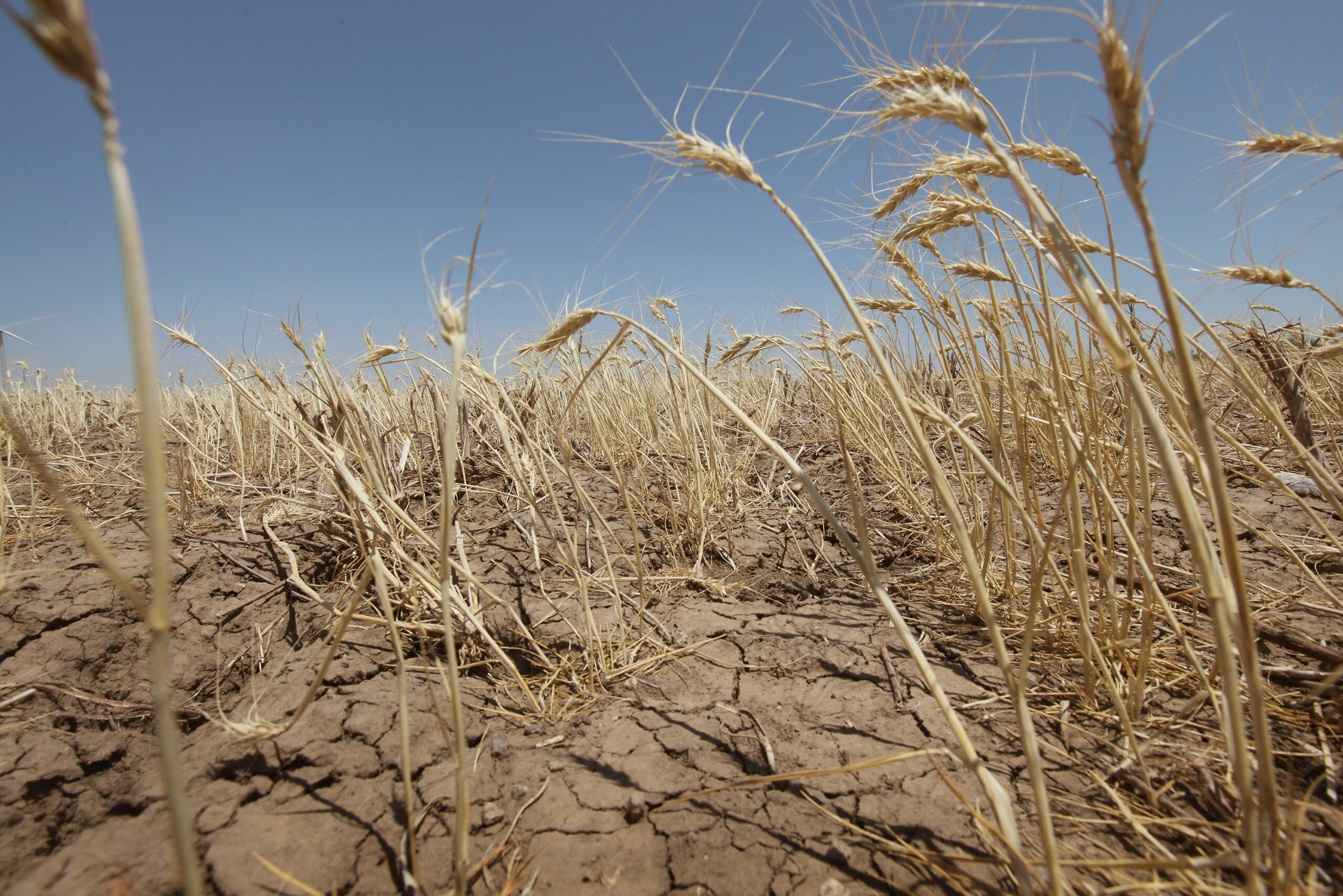 Moldova famine