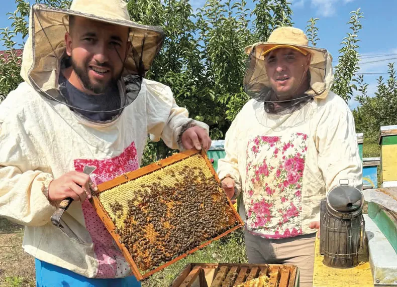 Marius and Andrei at the apiary